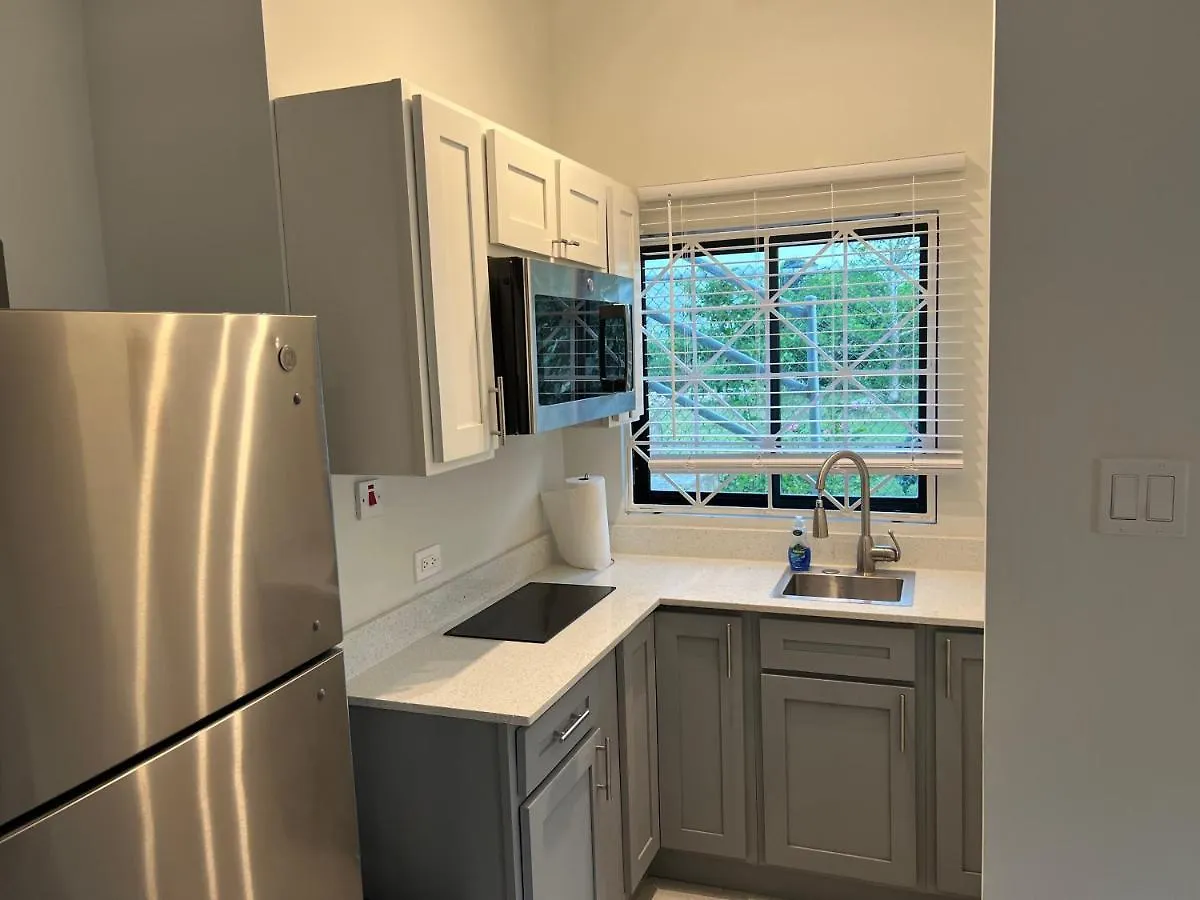 Σπίτι διακοπών Luxury Studio Rooftop Pool N View Unit #4 Falmouth Τζαμάικα