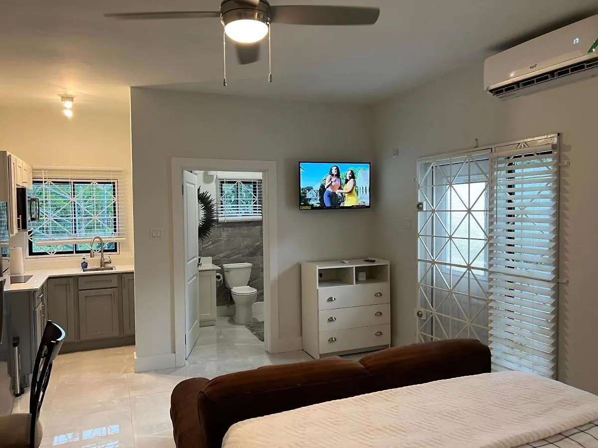 Luxury Studio Rooftop Pool N View Unit #4 Falmouth Τζαμάικα